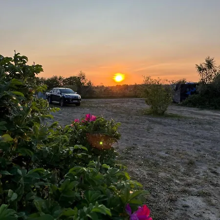 Kamp alanı Bungalow, Adler Auf Ruegen Zirkow